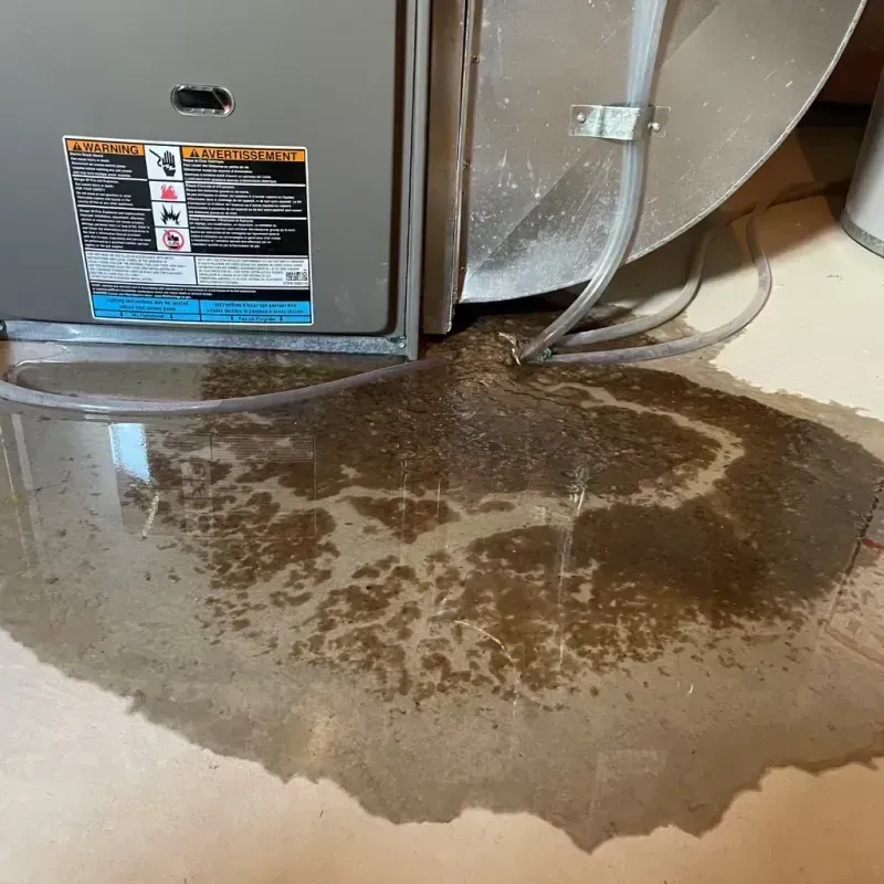 Appliance Leak Cleanup in Greeley County, NE